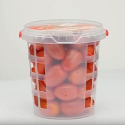 
                                                            
                                                        
                                                        IIC's resource-efficient packaging for fresh fruit